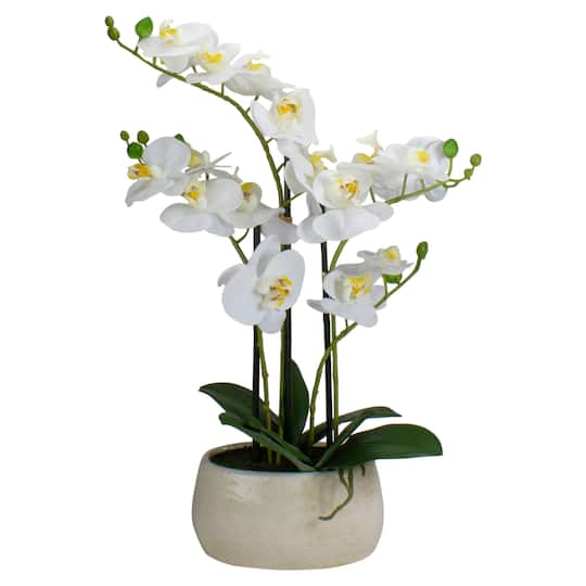 22&#x22; White Orchid Plant in White Oval Pot